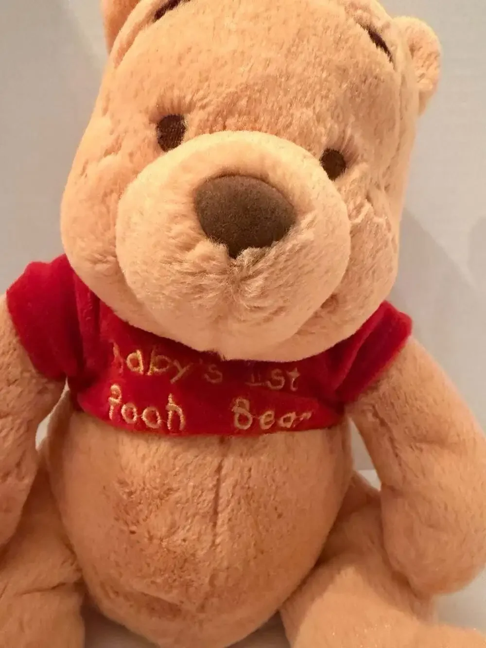 Disney Baby Winnie the Pooh Plush Stuffed Animal with Baby's 1st Pooh Bear Red